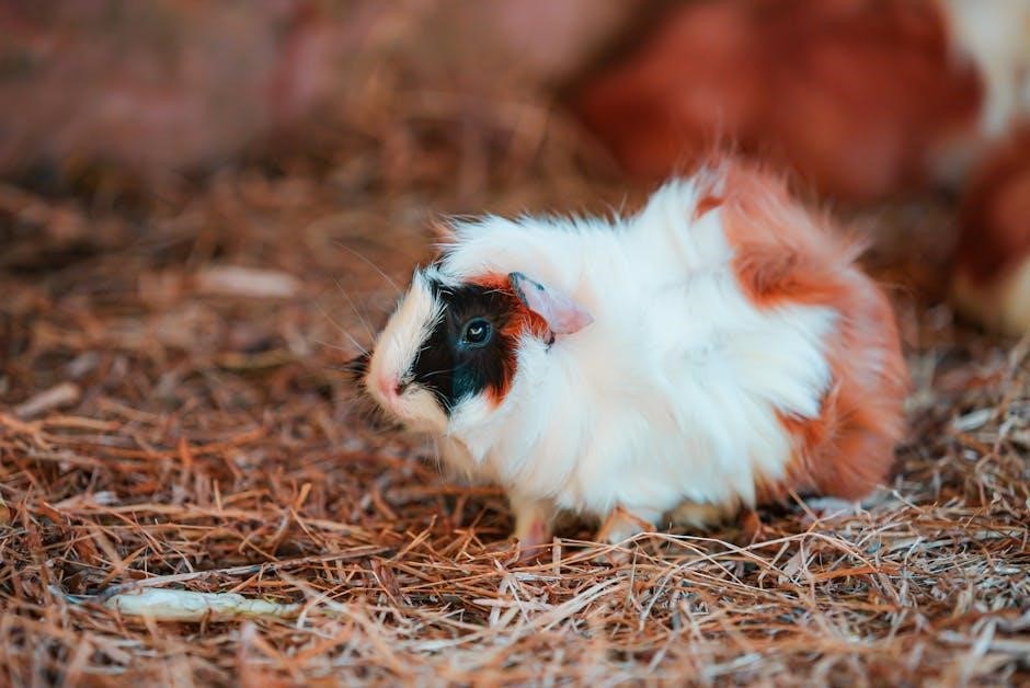 guinea pig food chart pdf