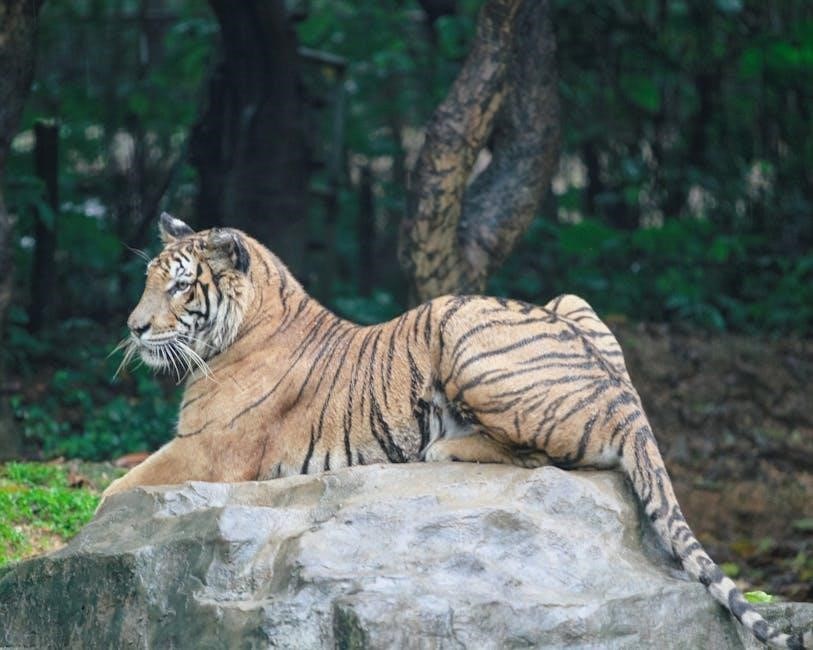 the lady or the tiger story pdf