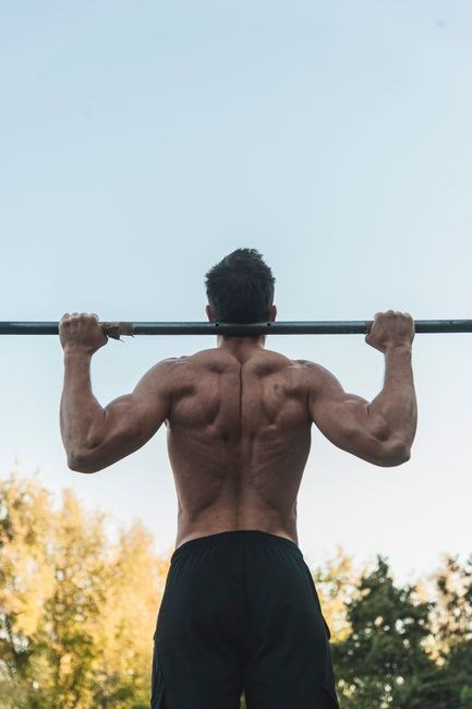 scapular strengthening exercises pdf